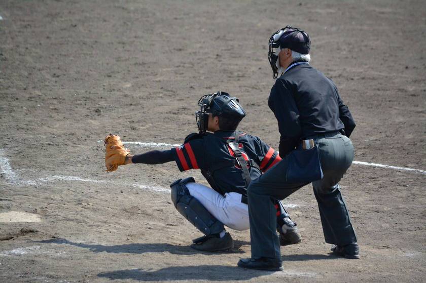 日本少年野球全国大会予選
